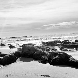 Meet your Posher, Mai